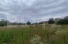 Casa 120 mp utili, 2850 mp teren, zona Bucium
