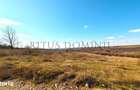 Teren Intravilan Parcelare, Lac Paleu, 8592mp, Deschidere 32ml - 2