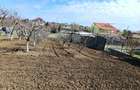 Vils la gri in Buftea, Strada Indepententei,NR 8 ,Calul Balan - 4