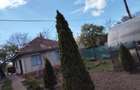 Casă cu 3 camere cu Teren 700 Mp în Amara - 7
