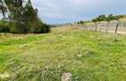 Teren De Vanzare In Zona Purcareti, Jud. Alba. 17800 Mp.