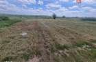 Teren intravilan de 743 mp in Mosnita Veche - 2
