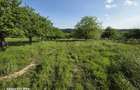 Teren extravilan de vanzare- priveliste panoramica, vie si pomi fructiferi