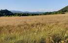 Teren de vanzare, 3525mp, acces asfaltat.Parcele la cerere! - 7