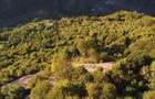 Teren de vanzare VALEA IERII 12.000 MP