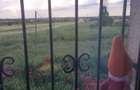 Proprietar, apartament doua camere, parter. - 4