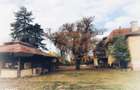 De vanzare conac boieresc, anul 1880, 3 ha teren, 1200 mp construiti, - 5