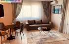 Apartament 2 camere + terasa inchisa de inchiriat : Albert - 5