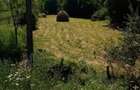 Teren Barlogu comuna Stoenesti - 2