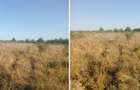 Targu Neamt, Punct Manesti, cota parte 1/2, ID: R2759107 - 1