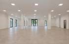 Spațiu comercial stradal/300 mp-pretabil Clinica/Magazin/Restaurant/sector 4 - 1
