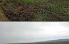 Teren extravilan 635 mp Harsesti, ID: R2922302 - 1
