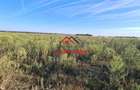 Teren extravilan in Urleta--5000m--18.500e