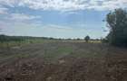 Teren intravilan 3.650 mp in Calugareni, Dambovita la 40 km de Bucuresti, ideal pentru constructie - 3