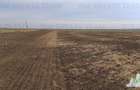 Oferim spre vanzare 6 loturi de teren extravilan (agricol) in Petrachioaia ILFOV - 10