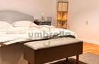 Spatiu de inchiriat, zona Horea, 48m2 - 3