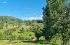 Teren intr-o zona superba din Campulung Moldovenesc - 1