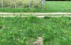 Teren rural de vanzare - electricitate ?i apa - 5