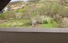 Vila de vanzare, Holboca, Ruseni - 6