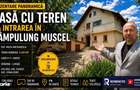 Casa P+1 cu aproximativ 4.100 mp teren in Campulung Muscel - 18