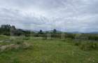 Teren de vanzare, 44000 mp(44 arii), parcelabil - 1