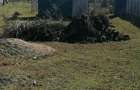 Vand teren intravilan - 3
