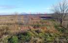 ID 7809 Teren intravilan in DUNAVA?U DE SUS - 2