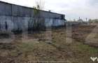 Teren Intravilan hala, 65 ari, zona Sieu Magherus - Bistrita (Bistrita-Nasaud) - 1