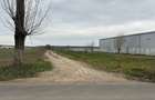 Teren de vanzare intravilan Moara domneasca - 6