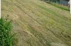 teren 900m2 Valea Salciilor Buzau - 1