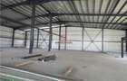 Vanzare depozithalaspatiu industrial Otopeni - Centura, Ilfov - 10