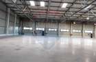 Spațiu industrial Clasa A - Otopeni Hala productie depozitare - 6
