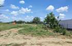 Teren intravilan 453 mp / 444 mp Apateu, Str. Codrilor | 32.500 | Acte complete | 10 min. de Oradea - 1