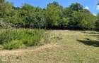 Proprietar vand teren intravilan 2774 mp - 6