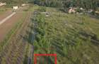 Branesti, 500mp, str. Violetelor, Lacul Pasarea, Padurea Cucu - 3