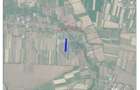 Teren extravilan 11,132 mp, Sacadat, de vanzare - Sacadat (Bihor) - 3