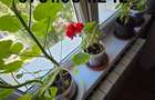 Apartament 3 camere zona CEC BANK -Str. Babadag - 7