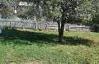 Teren de 1800 mp, în Breaza de Sus - 3