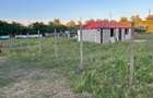 Teren Construcții intravilan de 1000 mp, în Bărboși