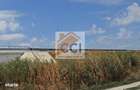 Teren intravilan 50.000 mp, Bacau, Soseaua Hol - 2