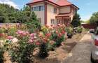 Casa cu teren 1.000 mp si livada Varsatura, Braila 180.000 - 8