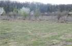 Teren 1000 mp Baneasa Aleea Teisani - 4