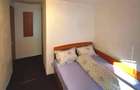 Investiție turistică în Straja – Cabana 10 camere la 150m de pârtie 145.000€ - 3