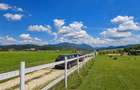 Refugiu modern,lot 1.640 mp,pavilion,zona barbeque:liniste si relaxare in Rasnov