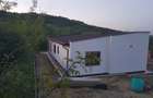 Vind acasa in tomesti - 7