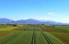 Parcele cu Panorama Bod- Faza 1 - 4