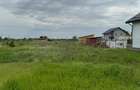 Teren 1Decembrie ._LDL