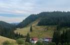 Teren de vanzare Arieseni - 5