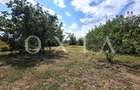 AX1309 Giarmata-Vii, Teren 1000 Mp, Toate Utilitatile - 10