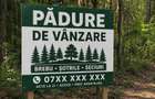 Padure in Brebu, ?otrile, Seciuri - 1